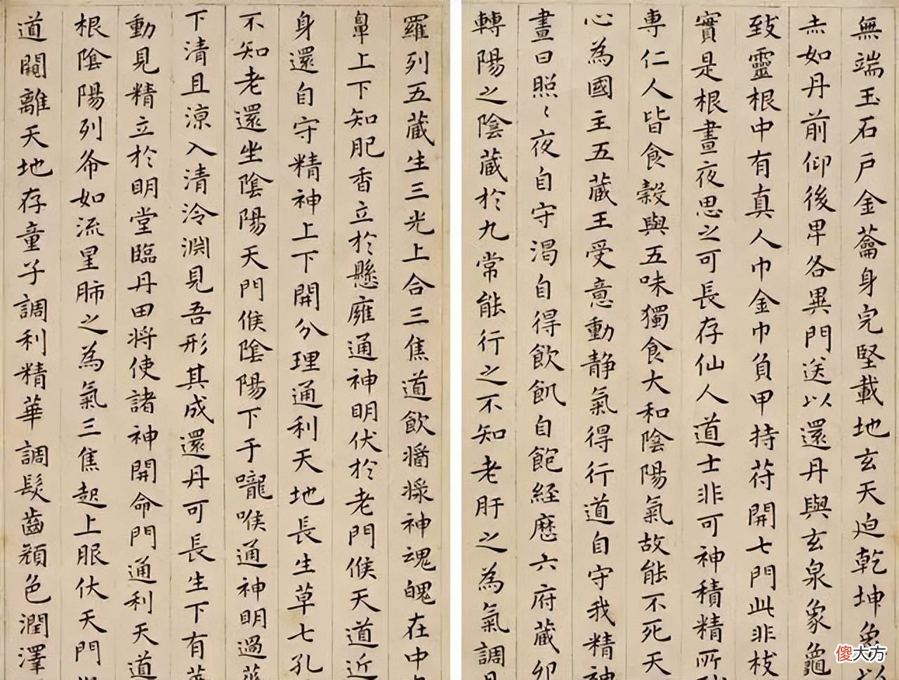 【历史故事】祝允明草书奔放，楷书竟如此俊秀！