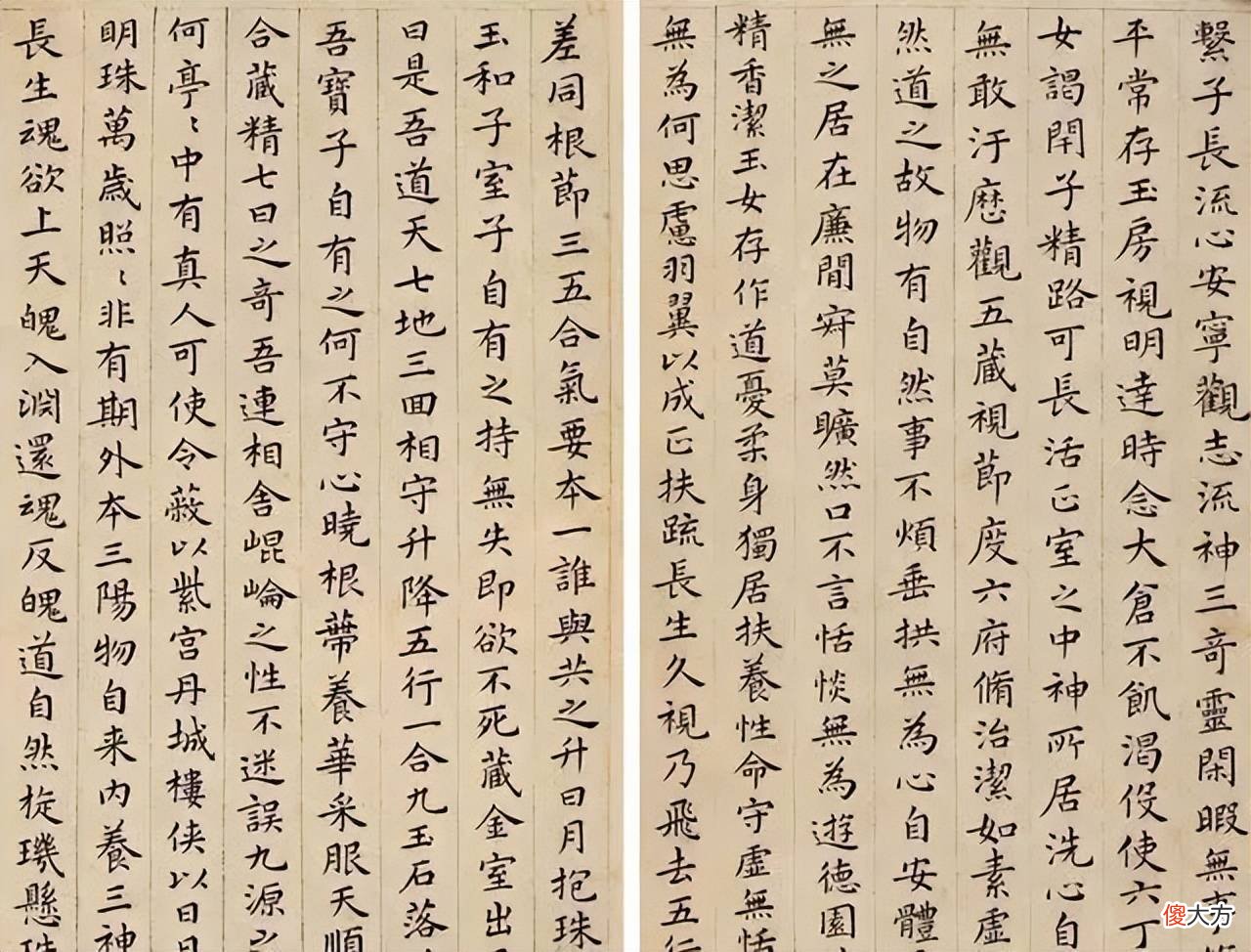 【历史故事】祝允明草书奔放，楷书竟如此俊秀！