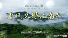 【爱历史】《春风》严东雷的剥洋葱战术，外围到核心，小鬼到阎王，逐一拔毒