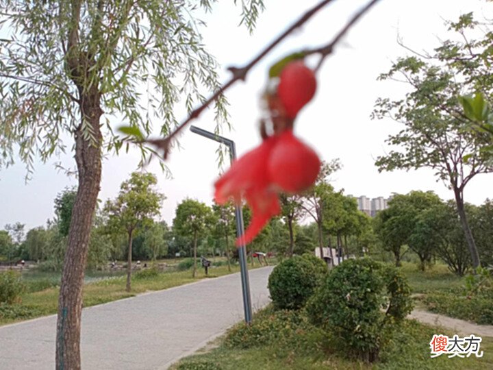 【爱历史】背叛,最容易激发人性中的狠毒