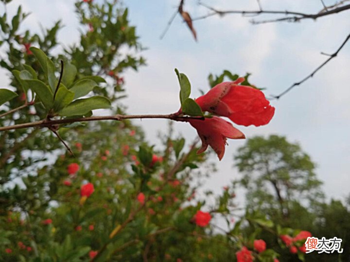 【爱历史】背叛,最容易激发人性中的狠毒