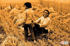 【爱历史】30年来我们都是怎么割麦的?一步一个脚印,这些老照片记录了一切