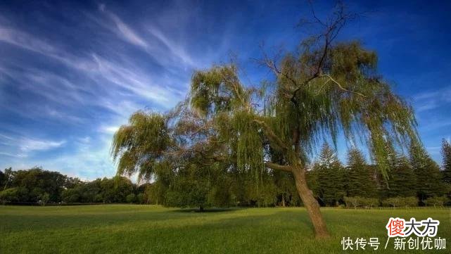 【十二星座】2022年，桃花运爆棚，爱情枯木逢春，顺利脱单的三个生肖