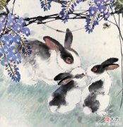【星座控】12生肖中的谁，不是最聪明，却是最有福，好运总是眷顾