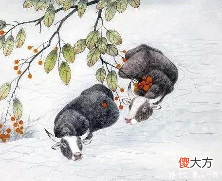 【星座控】下半年多有贵人相助，4生肖有钱不忙，夜夜好梦，时时走运