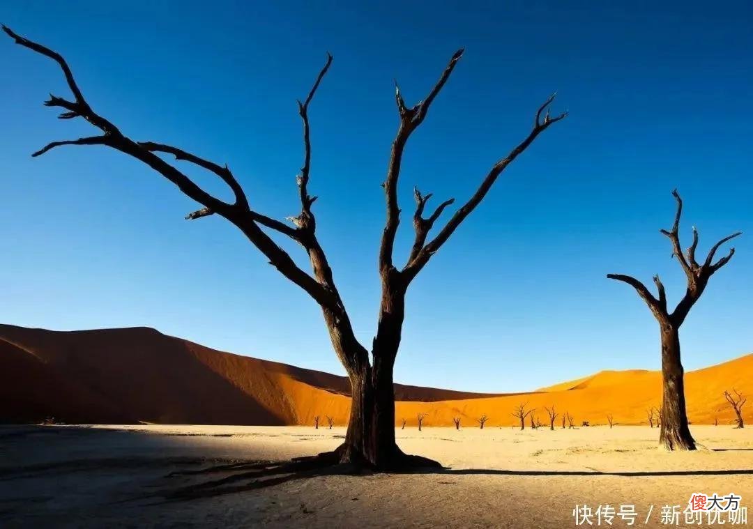 【十二星座】6月，紫气东来，花开富贵，好运气锐不可当，天生好命的三个生肖