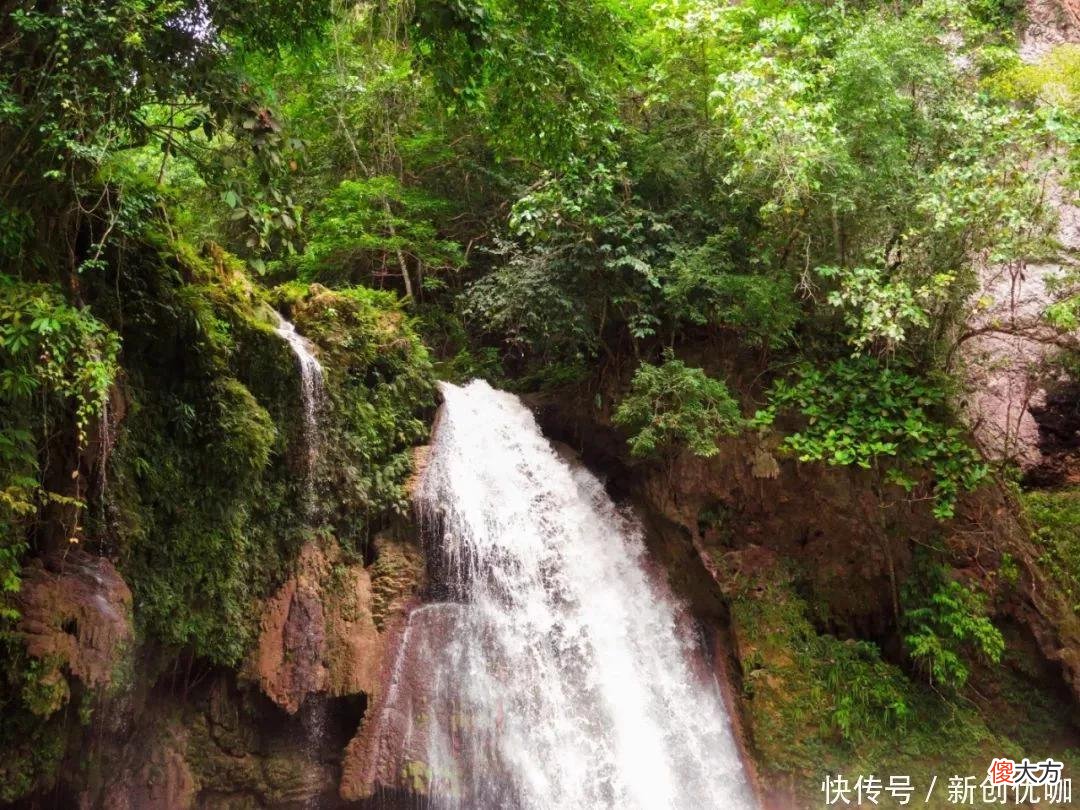 【星座控】6-8月，喜鹊欢叫，美好来到，一路添喜添财，福报满满的三个生肖