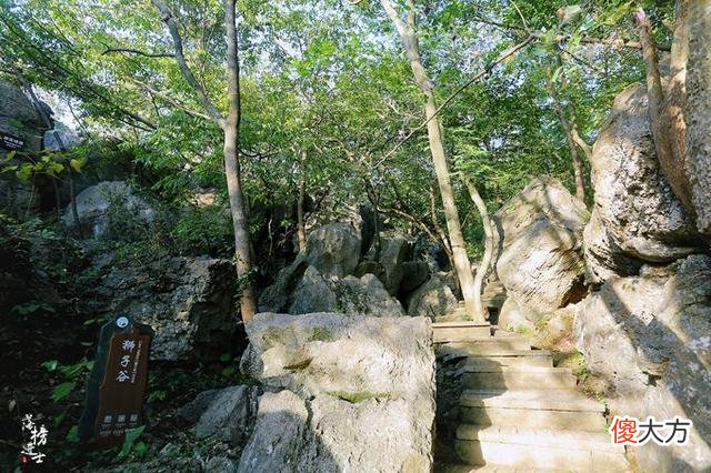安徽凤阳有一座狼巷迷谷，因野狼出没而得名，谷中堪称天然的迷宫