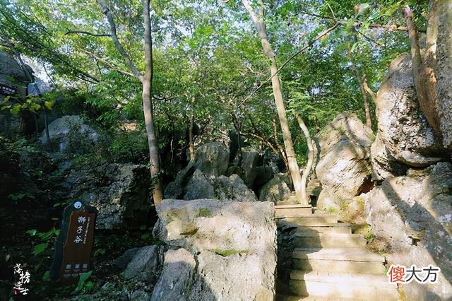 安徽凤阳有一座狼巷迷谷，因野狼出没而得名，谷中堪称天然的迷宫
