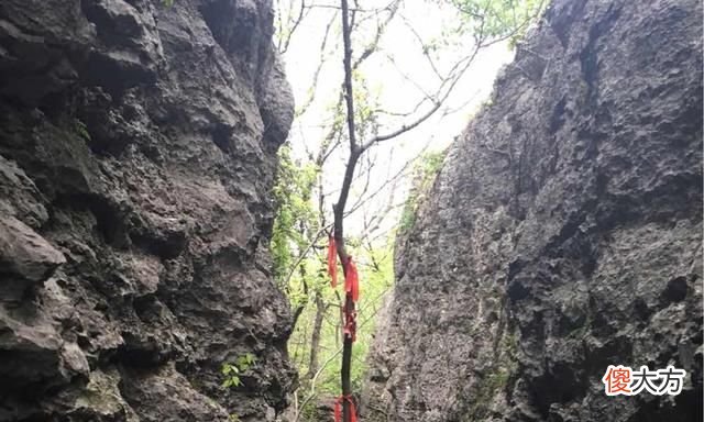 安徽一神秘山谷,占地万亩,因有狼出没而得名,游客都慕名而来