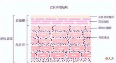 【就爱时尚】敏感肌可用水乳和普通水乳有哪些区别？