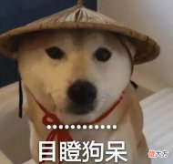【游戏世界】逆水寒手游靠内置广告赚钱？资深玩家解读：没道具收费的时代来了