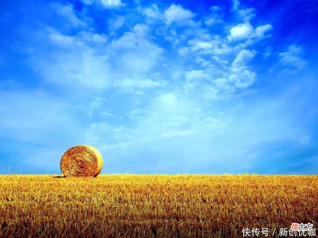 【十二星座】6月底，幸运之神眷顾，生意红火，财源广进，心想事成的三个生肖