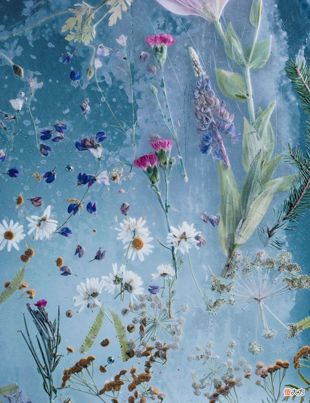 【就爱时尚】MOODBOARDS｜花花宇宙