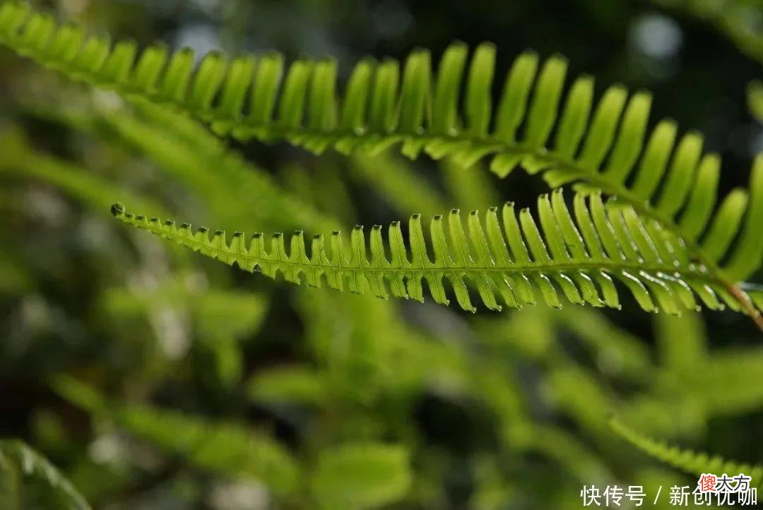 【星座控】2022年，天赐良缘，不是冤家不碰头，将邂逅前任，破镜重圆的生肖