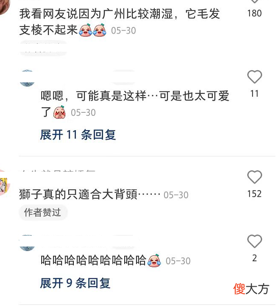 【就爱时尚】新晋网红狮子“阿杭”再现齐刘海，出圈海外媒体，引日本欧美多家媒体报道！