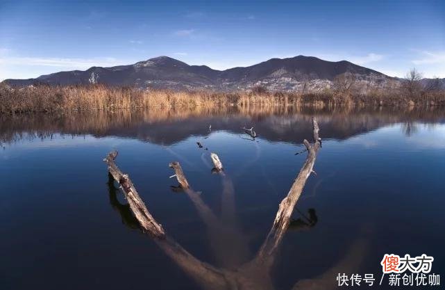 【星座控】2022下半年，运势逆转，诸事顺遂，飞黄腾达的三个生肖
