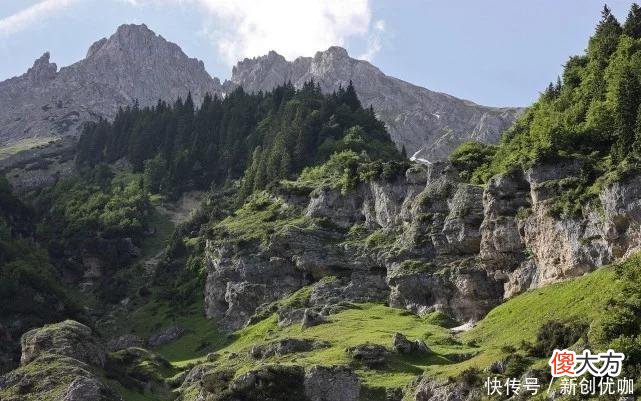 【十二星座】2022年，鸿运当头，涅槃重生，生活步步高升的三个生肖