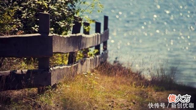 【十二星座】2022年，鸿运当头，涅槃重生，生活步步高升的三个生肖