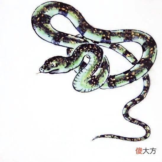 【十二星座】有升官运势的生肖，6月大有收获，职位提升，口袋满满