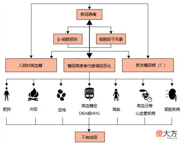 糖尿病患者更容易得新冠后遗症，孕妇若患新冠将影响婴儿大脑发育