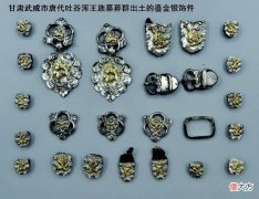 【爱历史】唐代的吐谷浑部真的消失了吗？