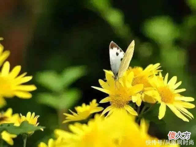 【就爱时尚】长了脂肪粒到底挤不挤？一分钟教你处理它的正确方式