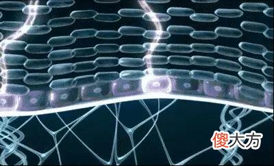 【就爱时尚】长了脂肪粒到底挤不挤？一分钟教你处理它的正确方式