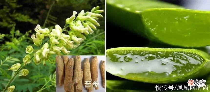 【就爱时尚】长了脂肪粒到底挤不挤？一分钟教你处理它的正确方式