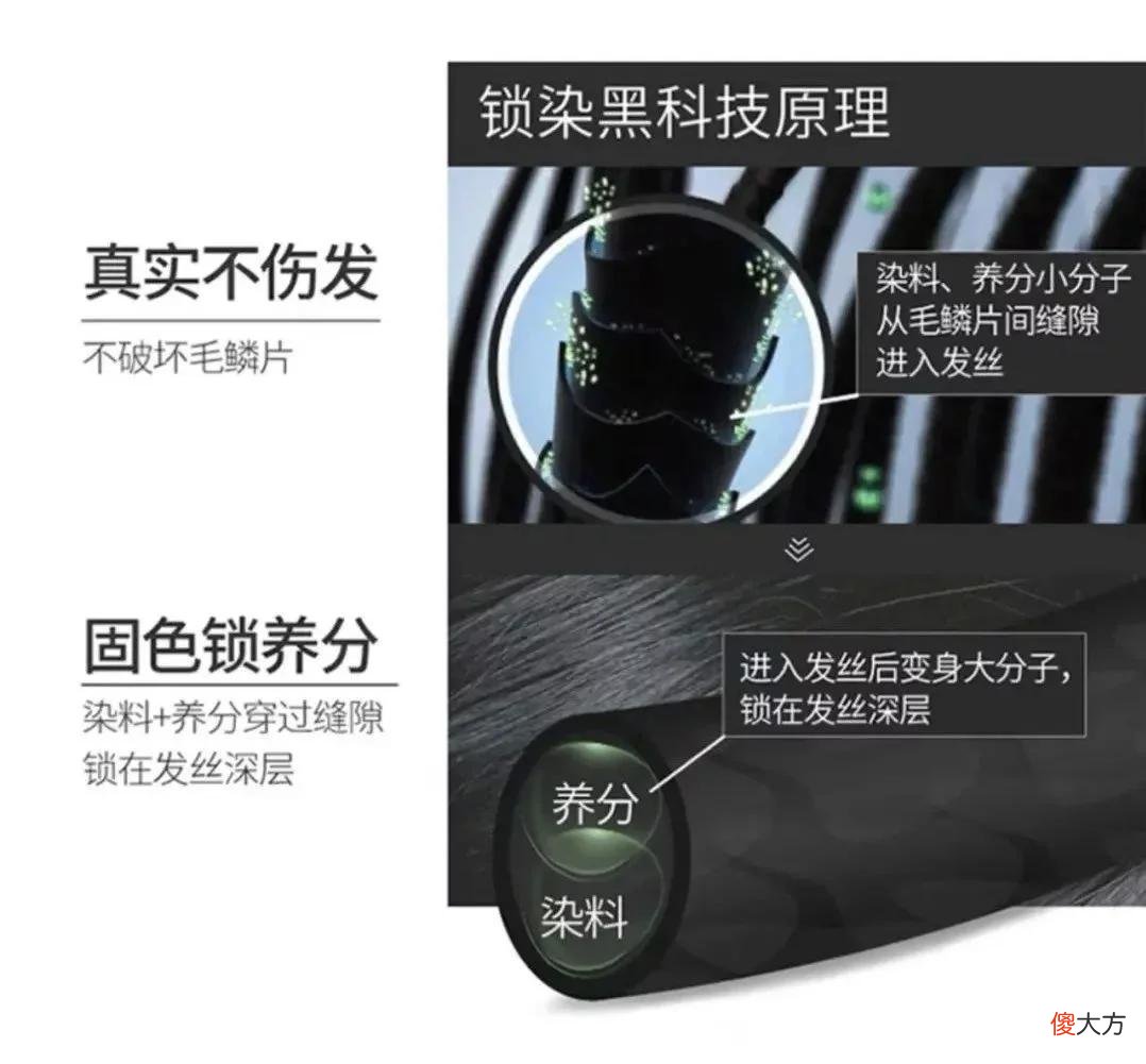 【时尚一点】贴贴｜这位头发界的“女明星”不仅解决脱发难题，还读懂了我不敢亲自染发的难言之隐呢