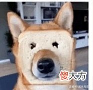 【游戏世界】炉石传说：骑士最稳卡组，污手骑，比的就是厚度