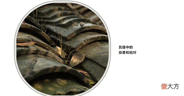 【游戏迷】奇葩!网易给玩家下蛊了?竟要集体众筹给网易买服务器?