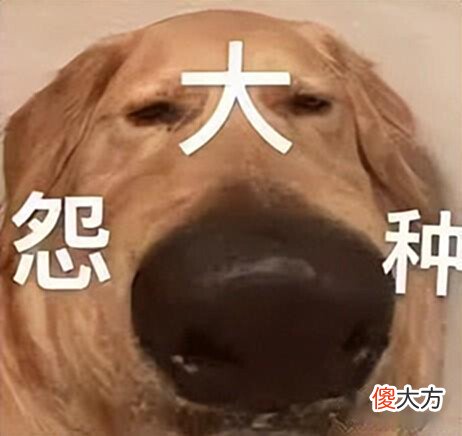【游戏世界】17800元一人！完美世界因“付费上班”上热搜