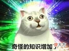 【游戏世界】「CF」小人枪获取途径更多门槛更低，有没有可能大范围普发呢