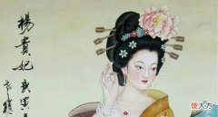 【历史故事】杨贵妃为什么能看上安禄山？他们到底是什么关系？看看野史怎么说
