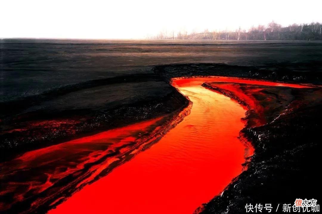 【十二星座】6-9月，爱意不减，挣不脱思念，前任回归，爱情如意的三个生肖