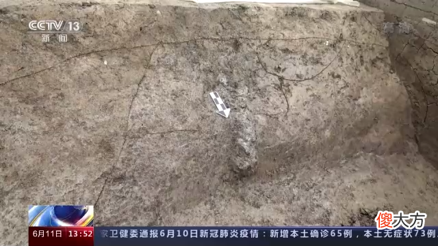 【历史故事】三星堆遗址祭祀区考古工作队乔钢:建筑遗迹紧邻8个祭祀坑