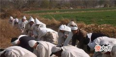 【爱历史】150斤重的人有20斤骨灰，专家称“丧葬科技”又一大突破