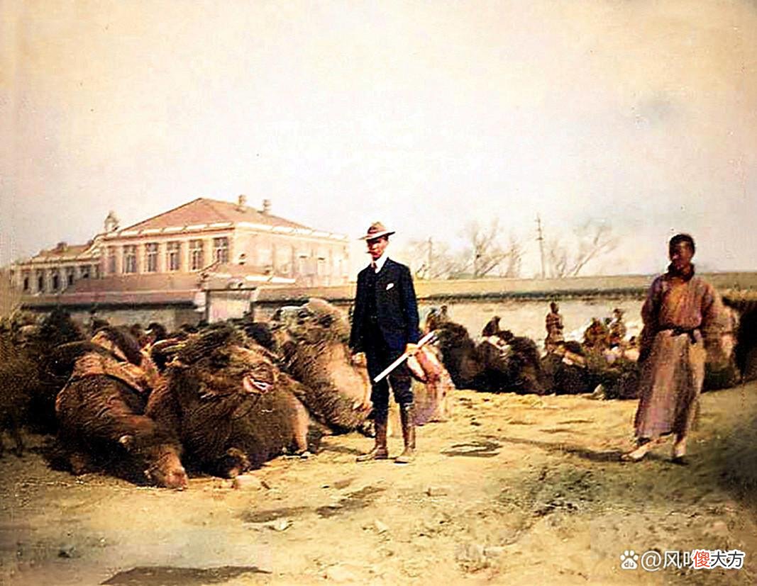 【爱历史】22张百年老照片，再现1904年北京东交民巷的一处建筑工地