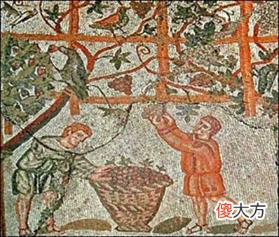 【爱历史】烧荒、种地、抛荒，如此反复！欧洲中世纪早期农业的特点——落后