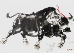 【星座控】哪几个生肖的人，好运即将来临，年底前好事一件接着一件
