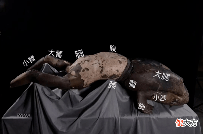 【爱历史】秦始皇陵博物院考古工作又有新进展，这尊“仰卧俑”姿态奇特