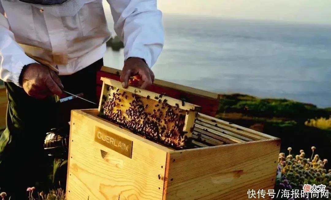 【时尚一点】教你美 | 湿敷这件事停不下来？这到底是护肤妙招还是个伪命题？