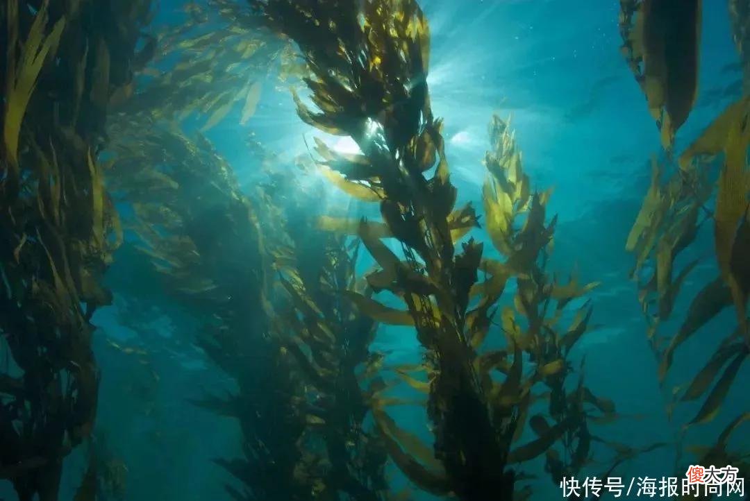 【时尚一点】教你美 | 湿敷这件事停不下来？这到底是护肤妙招还是个伪命题？