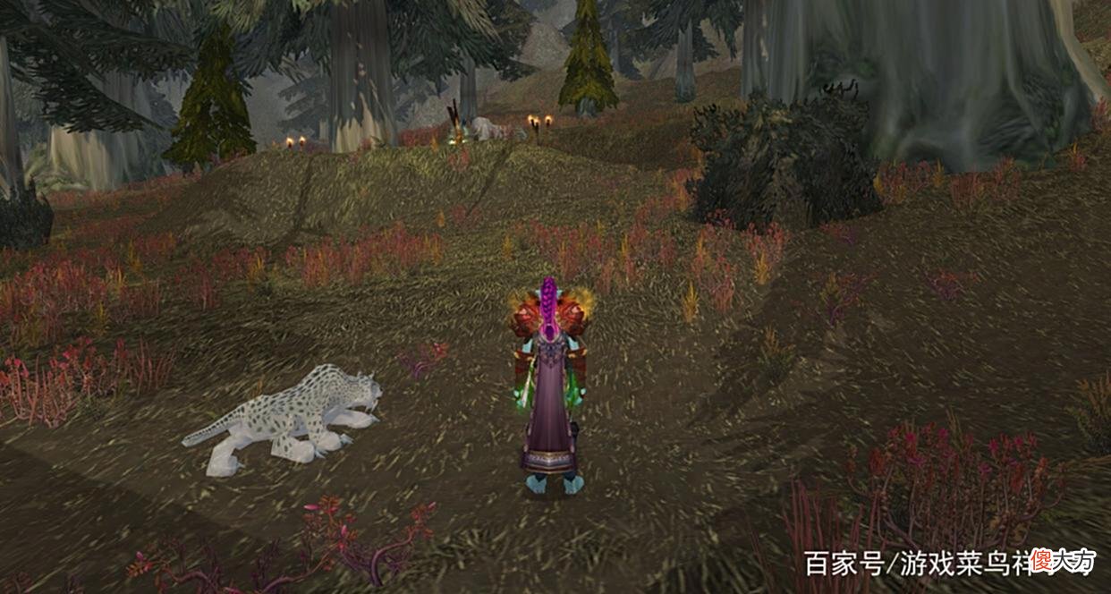 【游戏世界】魔兽TBC:灵魂兽70级也能抓,虽然不是太纯,姑且也算是一只