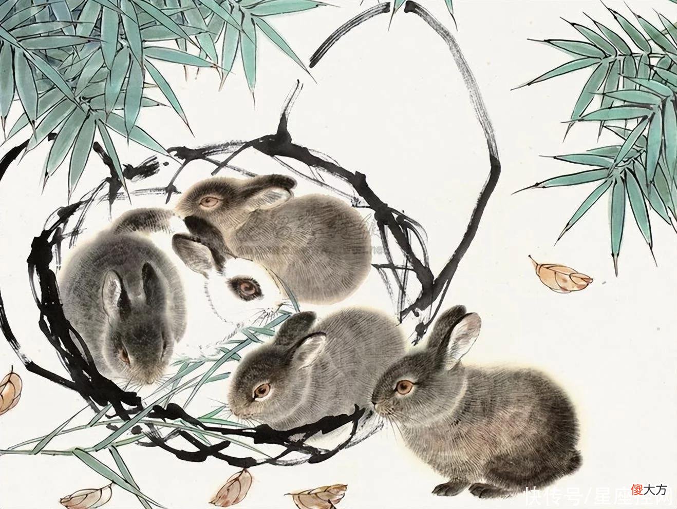 【十二星座】哪几个生肖的人，身边总有贵人相助，事业发展一枝独秀，成长快速