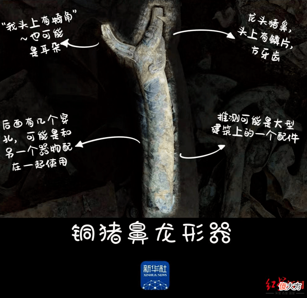 【爱历史】三星堆发掘坑内现猪鼻龙头柱状器