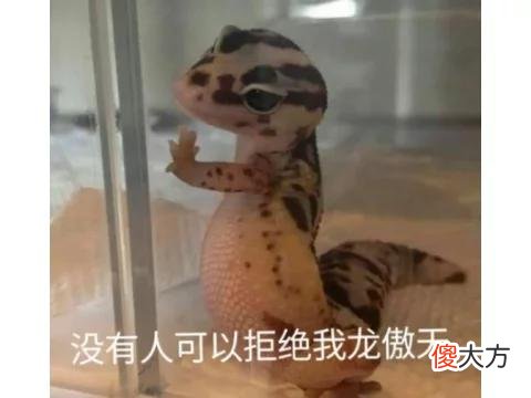 【游戏世界】被永恒之塔奴役的最强主神？她掌握时间之力，却被禁锢数千年！