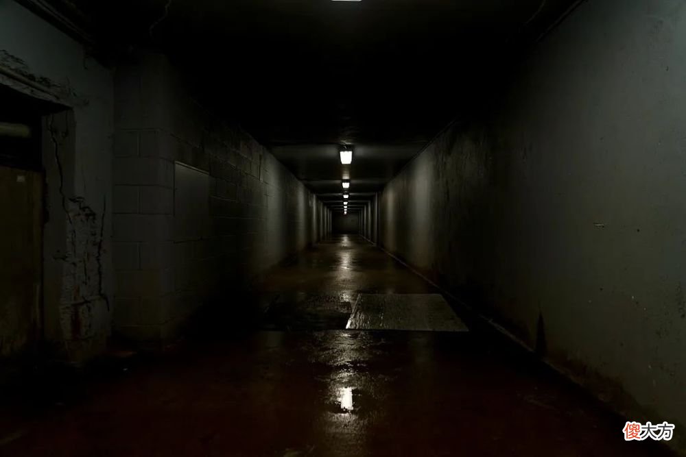 【游戏迷】中青宝凤凰水世界联动线上线下打造沉浸式游戏体验