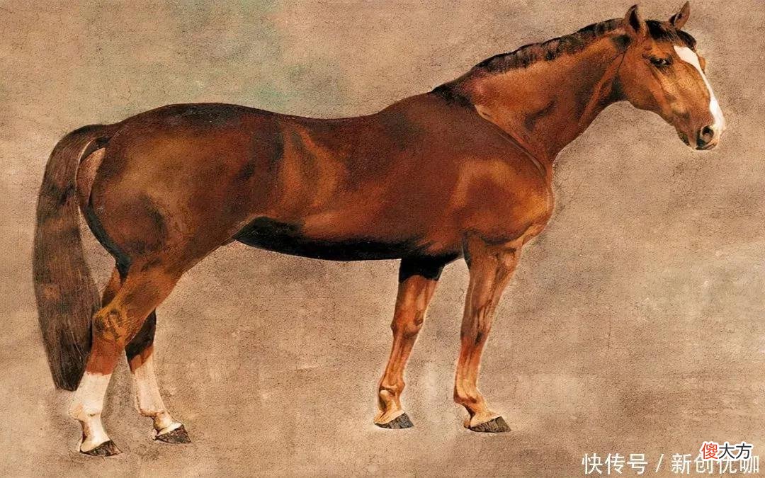 【星座控】2022年，先苦后甜，付出有收获，财运后劲强，进财顺利的三个生肖